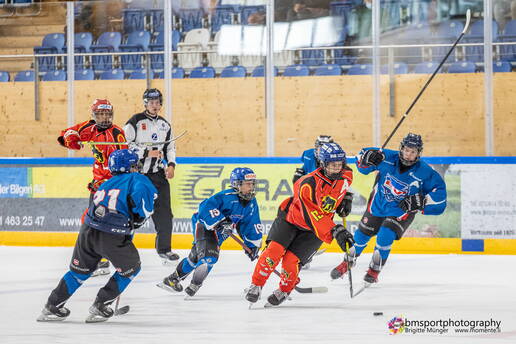 btc-u14-romanshorn_2021_brigittemuenger_0582.jpg btc-u14-romanshorn_2021_brigittemuenger_0582.jpg